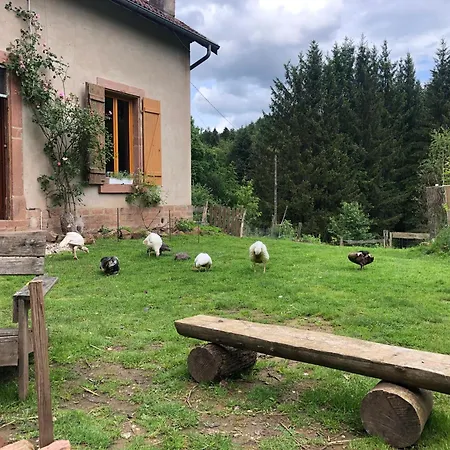 A l'orée de soi - Maison forestière de la Soie - Eco gîte, chambres d'hôtes, camping au pied des Vosges Saint-Sauveur  Extérieur photo