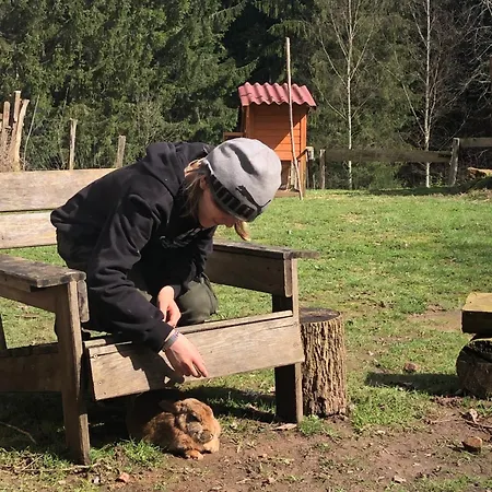 A l'orée de soi - Maison forestière de la Soie - Eco gîte, chambres d'hôtes, camping au pied des Vosges Saint-Sauveur  Extérieur photo