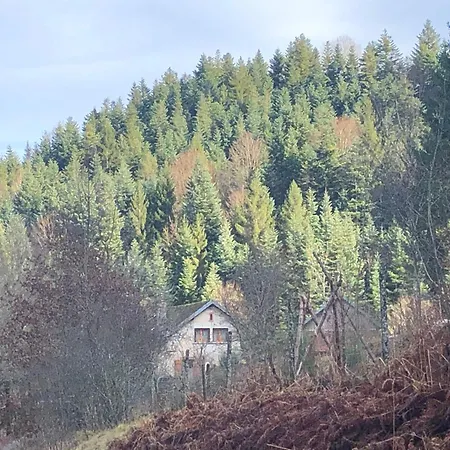A l'orée de soi - Maison forestière de la Soie - Eco gîte, chambres d'hôtes, camping au pied des Vosges Saint-Sauveur  Extérieur photo