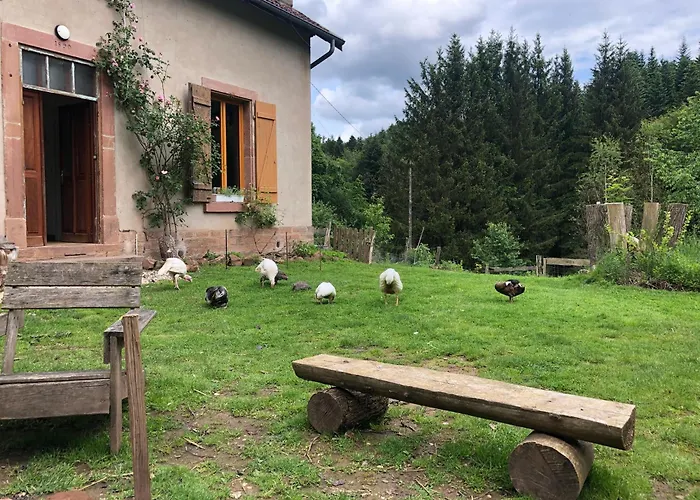 A l\'orée de soi - Maison forestière de la Soie - Eco gîte, chambres d\'hôtes, camping au pied des Vosges