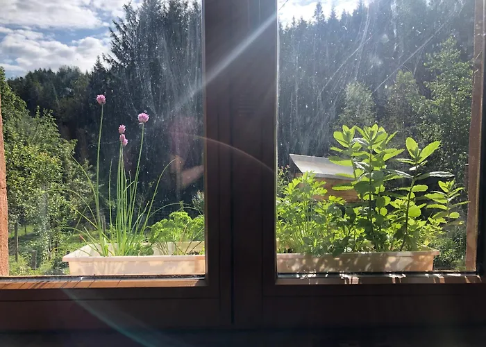 A l\'orée de soi - Maison forestière de la Soie - Eco gîte, chambres d\'hôtes, camping au pied des Vosges