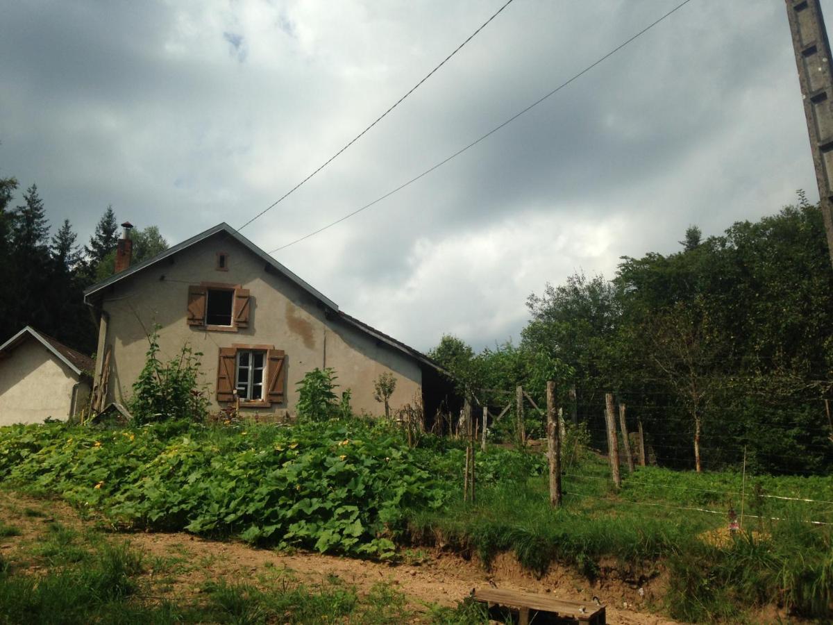 A L'orée De Soi - Maison Forestière De La Soie - Eco Gîte, D'hôtes, Au Pied Des Vosges * Saint-Sauveur (Meurthe-et-Moselle)