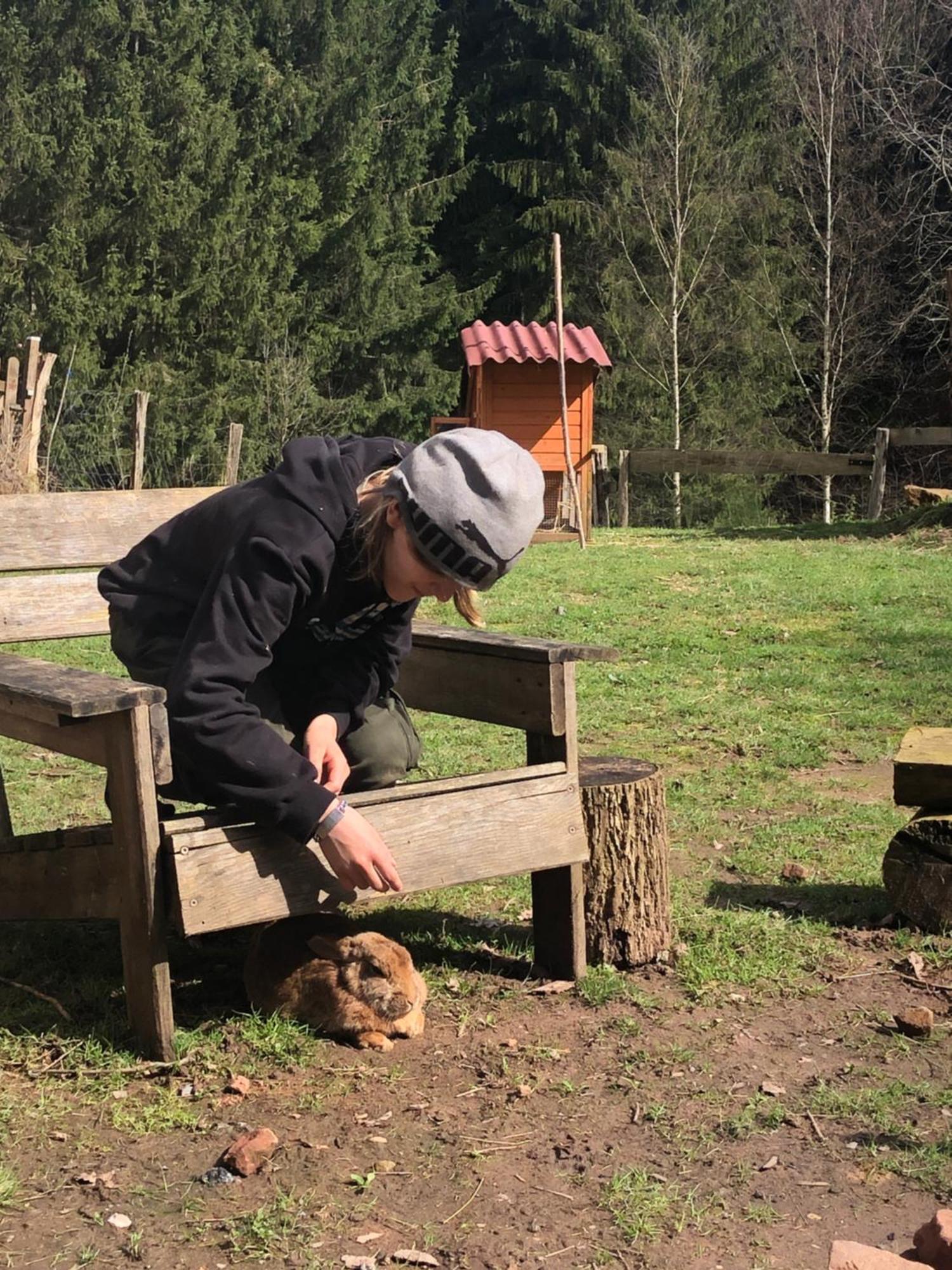 A L'orée De Soi - Maison Forestière De La Soie - Eco Gîte, D'hôtes, Au Pied Des Vosges Séjour chez l'habitant Saint-Sauveur (Meurthe-et-Moselle)