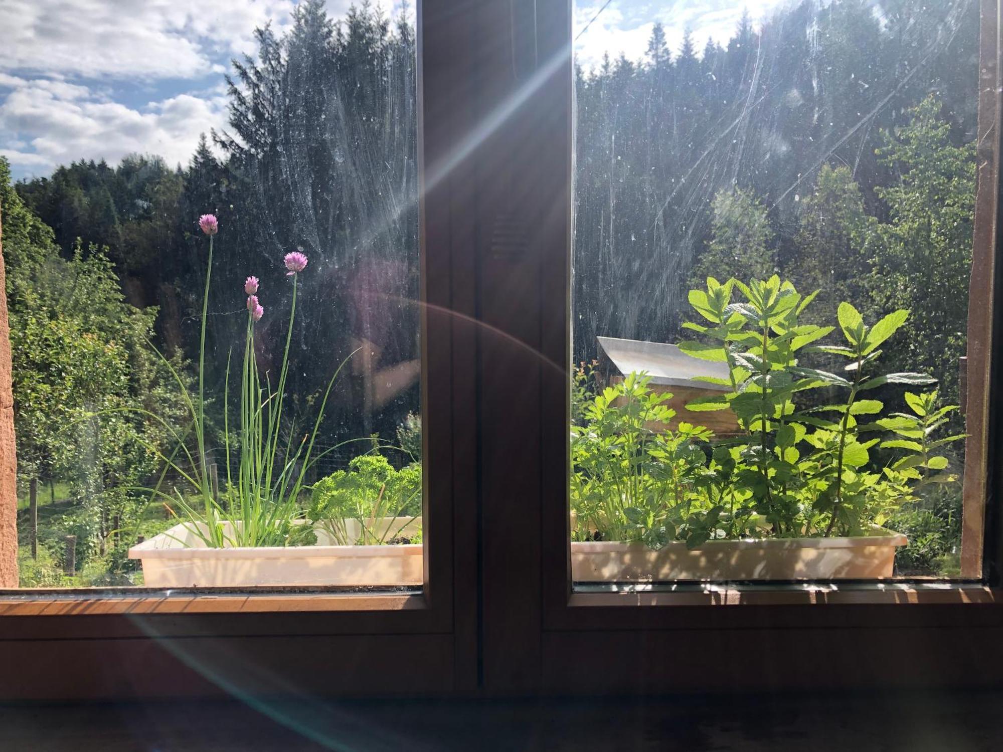 Séjour chez l'habitant A L'orée De Soi - Maison Forestière De La Soie - Eco Gîte, D'hôtes, Au Pied Des Vosges Saint-Sauveur (Meurthe-et-Moselle)