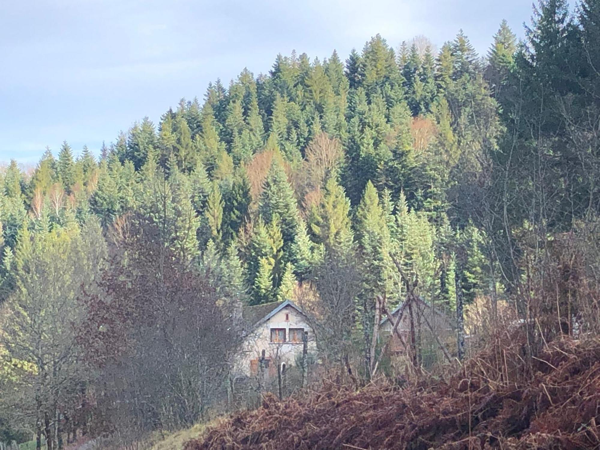 A L'orée De Soi - Maison Forestière De La Soie - Eco Gîte, D'hôtes, Au Pied Des Vosges * Saint-Sauveur (Meurthe-et-Moselle)