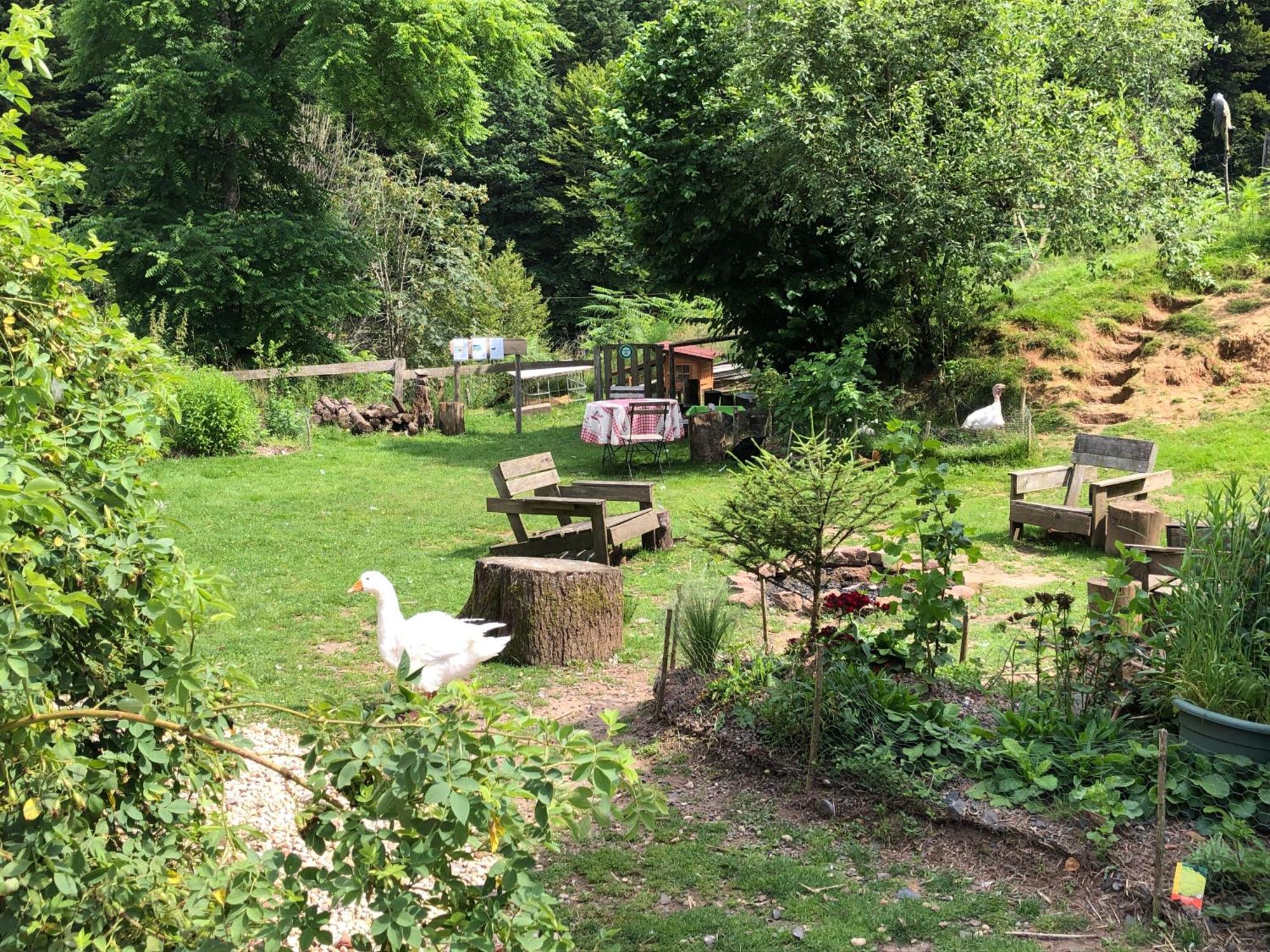 Séjour chez l'habitant A L'orée De Soi - Maison Forestière De La Soie - Eco Gîte, D'hôtes, Au Pied Des Vosges Saint-Sauveur (Meurthe-et-Moselle)