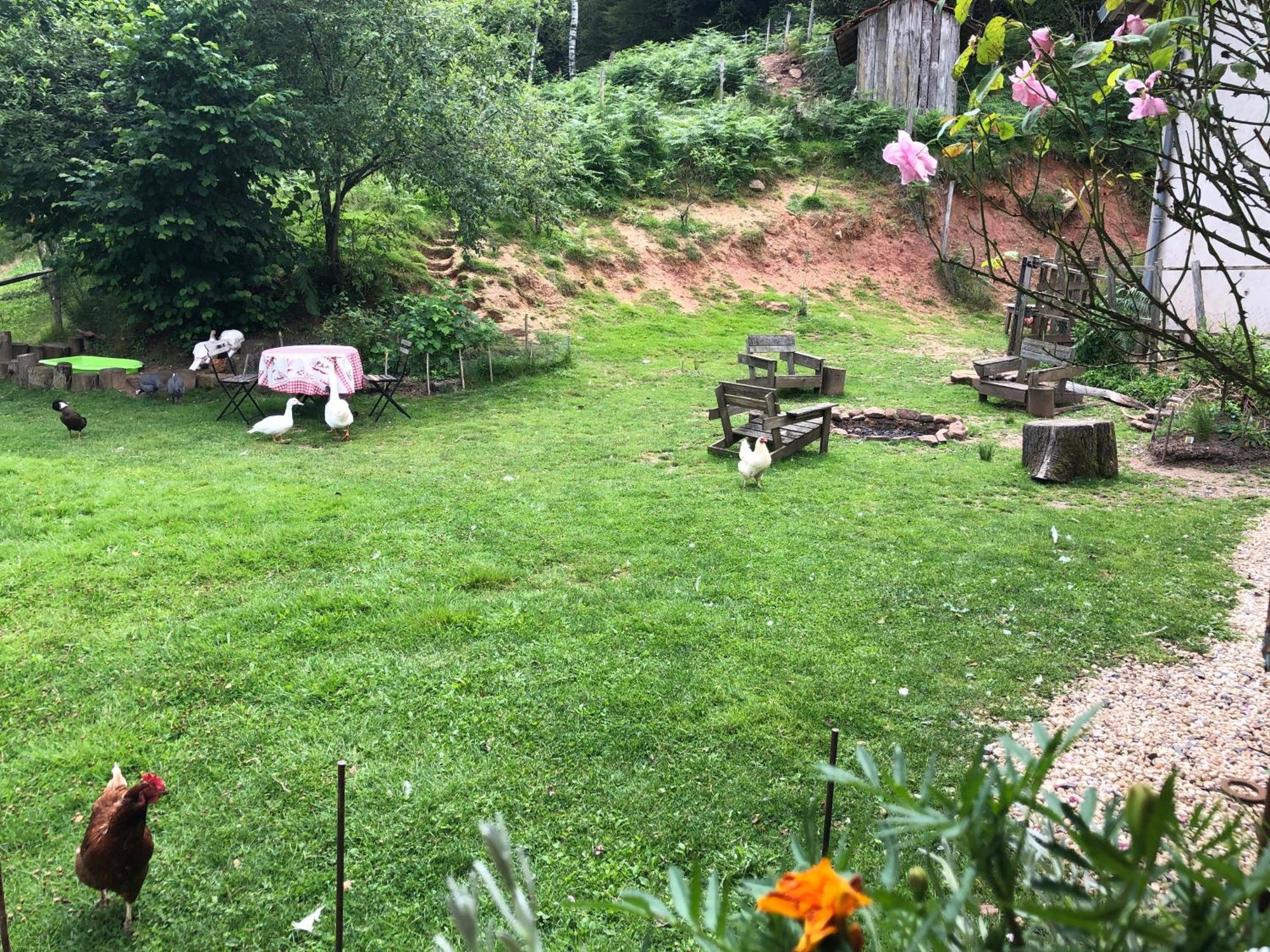 A L'orée De Soi - Maison Forestière De La Soie - Eco Gîte, D'hôtes, Au Pied Des Vosges Séjour chez l'habitant