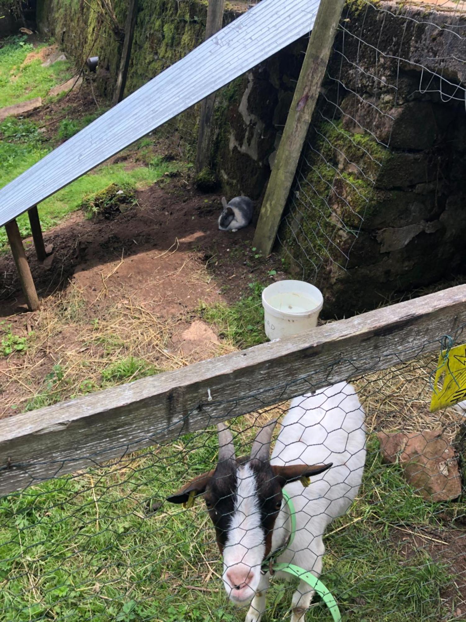 Séjour chez l'habitant A L'orée De Soi - Maison Forestière De La Soie - Eco Gîte, D'hôtes, Au Pied Des Vosges Saint-Sauveur (Meurthe-et-Moselle)